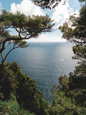Coast 7