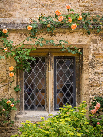 Lacock abbey window