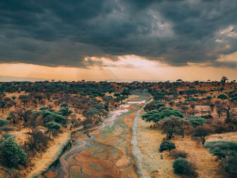 African landscape