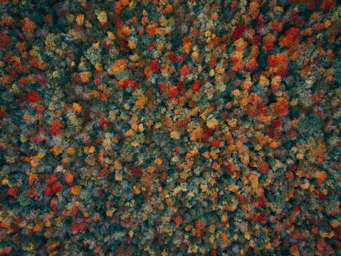 Autumn colors 2