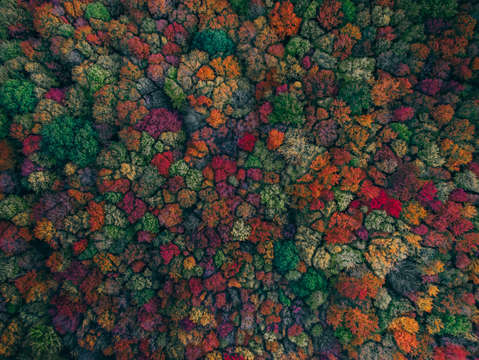 Autumn colors 3