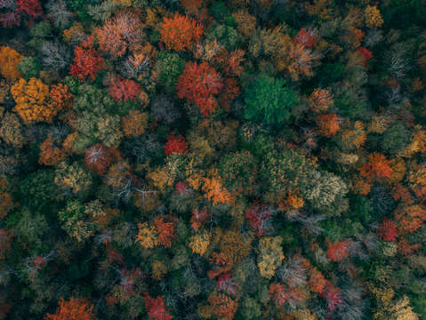 Autumn colors 4