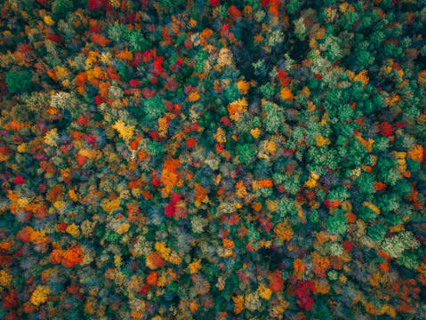 Autumn colors 5