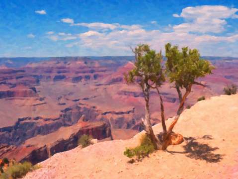 Grand canyon overlook