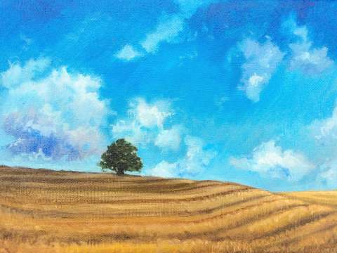 Open expanses