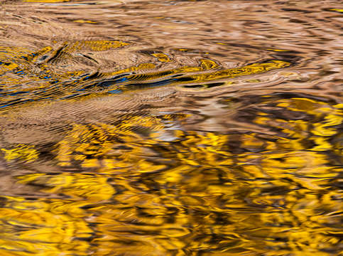 Golden waters