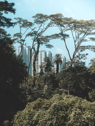 Singapore 4