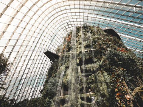Singapore 5