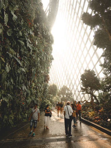 Singapore 7