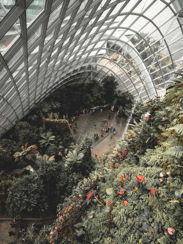 Singapore 8