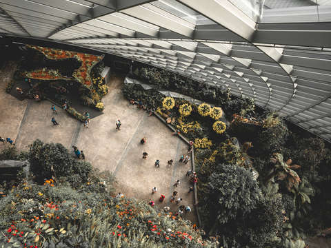 Singapore 9