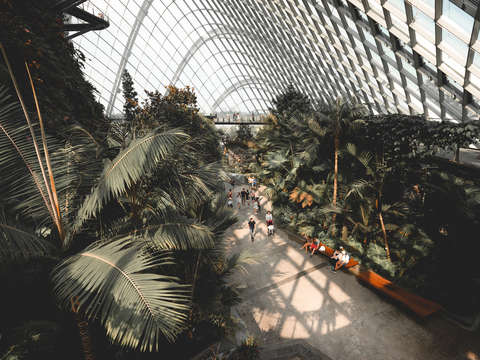 Singapore 12