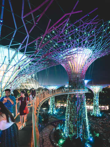Singapore 14
