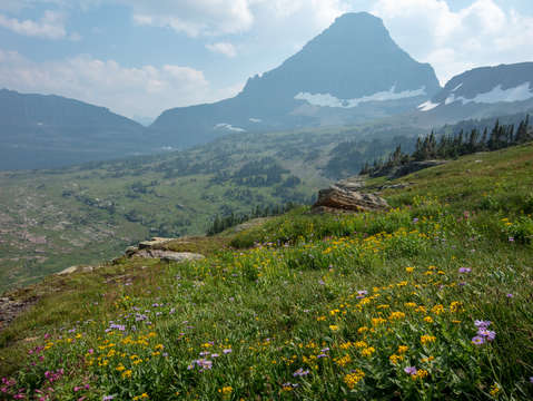 Logan pass glacier national park