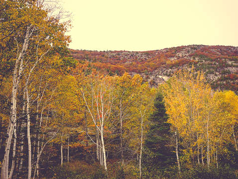 When autumn arrived