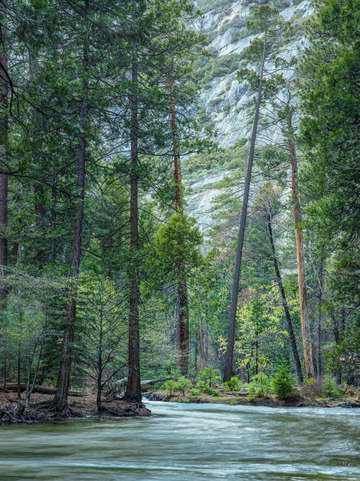 Yosemite reek in spring