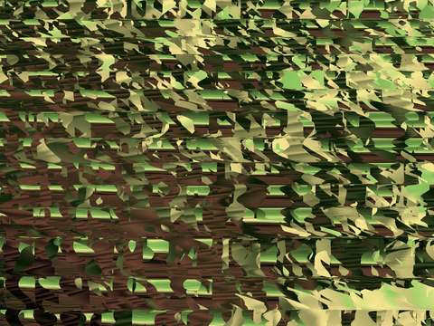 Vine 3
