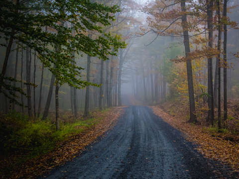 Autumn road
