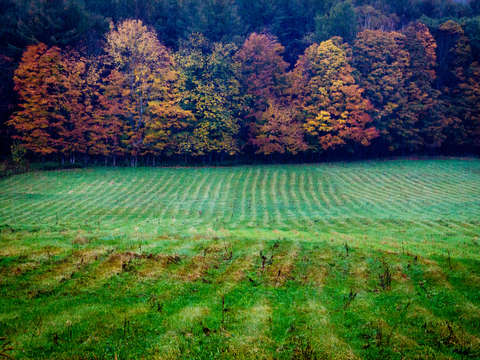 Fall farm in vermont