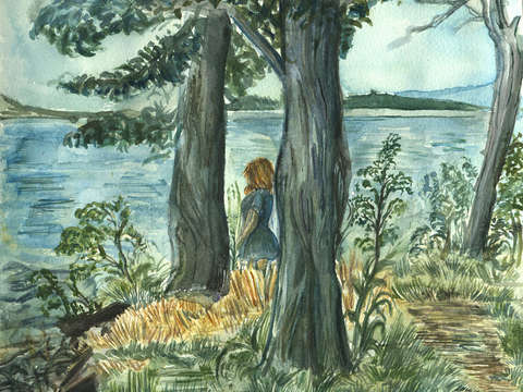 Thompson island gazer