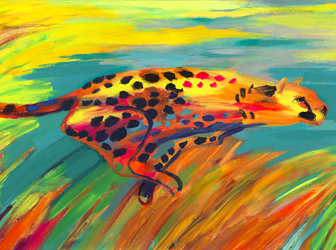 Cheetah 2