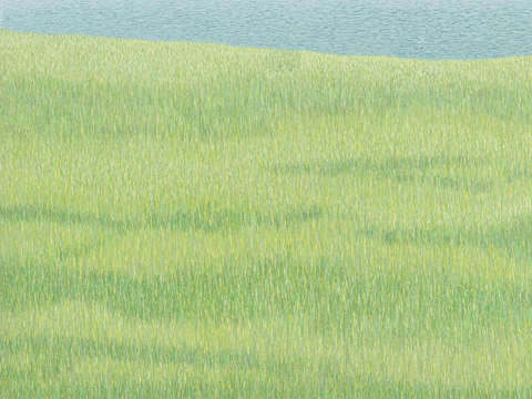 Riverscape 81