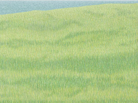 Riverscape #8.2