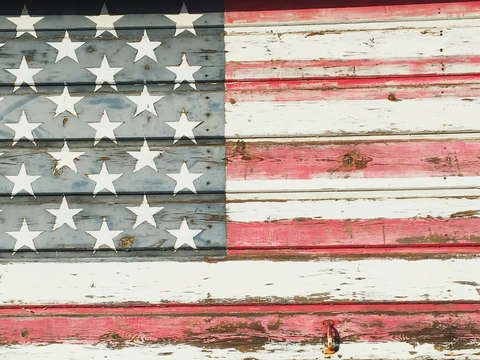 Flag door