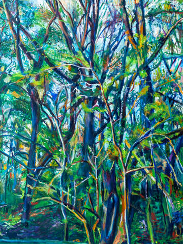 Tangled forest in prospect park