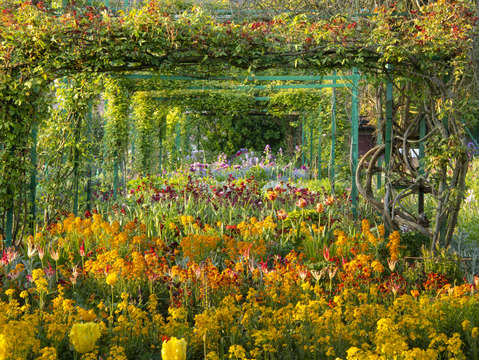 Flowers at giverny