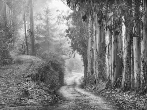 Road less traveled