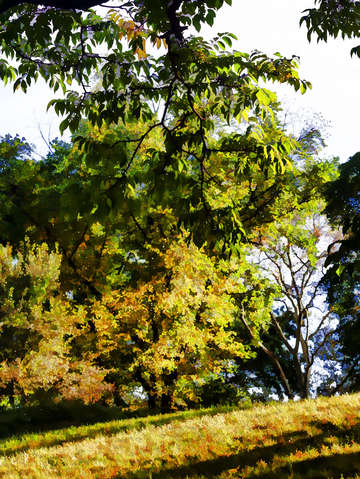 Impressionist fall scene