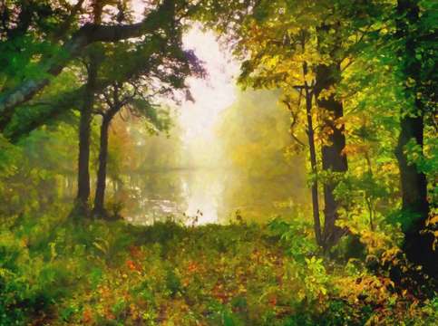 Misty morning at the pond