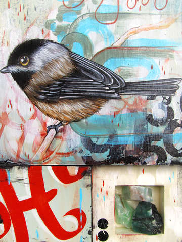 Chickadee plans