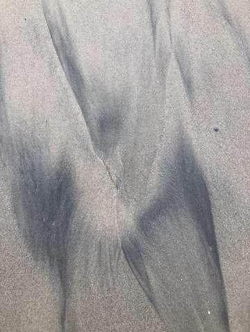 Sands of oceanside 37