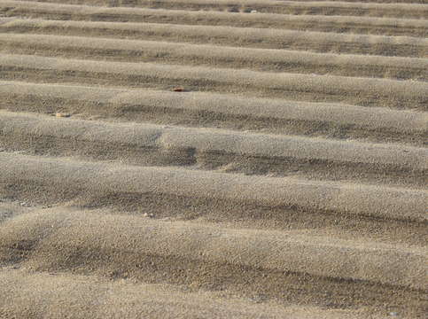 Sands of puerto pe asco 1