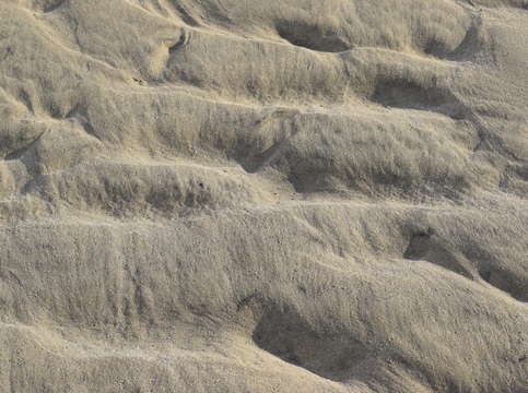 Sands of puerto pe asco 5