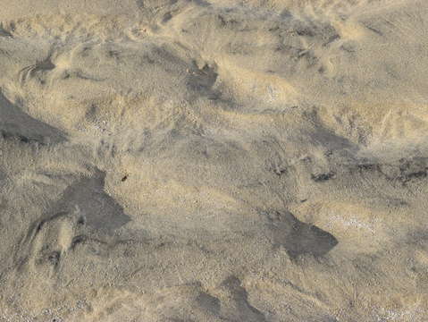 Sands of puerto pe asco 6
