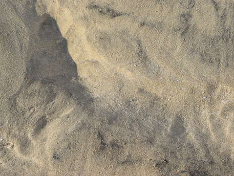 Sands of puerto pe asco 8