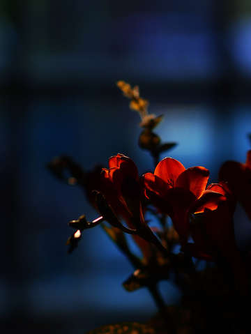Last slivers of daylight