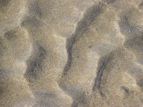 Sands of puerto pe asco