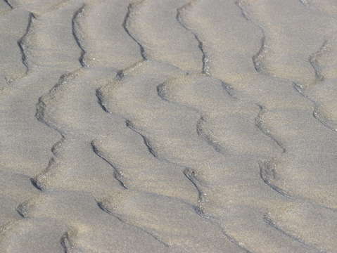 Sands of puerto pe asco 12