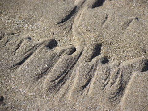 Sands of puerto pe asco 14