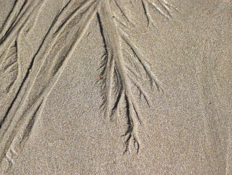 Sands of puerto pe asco 25