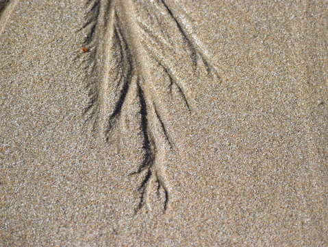 Sands of puerto pe asco 26