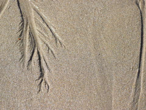 Sands of puerto pe asco 27