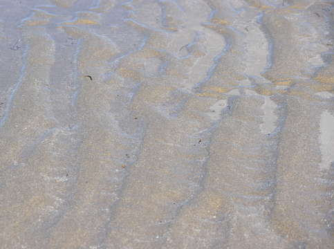 Sands of puerto pe asco 28