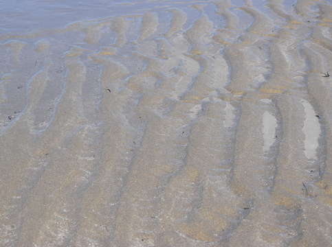 Sands of puerto pe asco 30