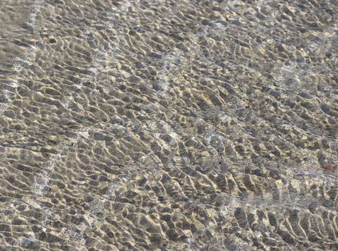 Sands of puerto pe asco 33
