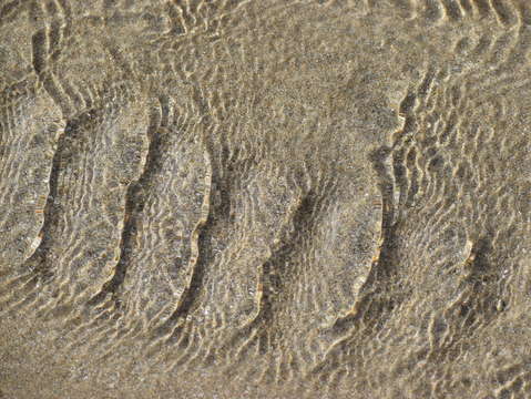 Sands of puerto pe asco 34